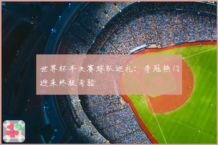 世界杯半决赛球队巡礼:夺冠热门迎来终极考验