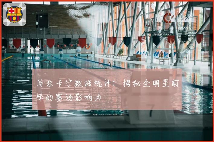 马尔卡宁数据统计:揭秘全明星前锋的赛场影响力
