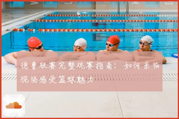 德鲁联赛完整观赛指南：如何亲临现场感受篮球魅力